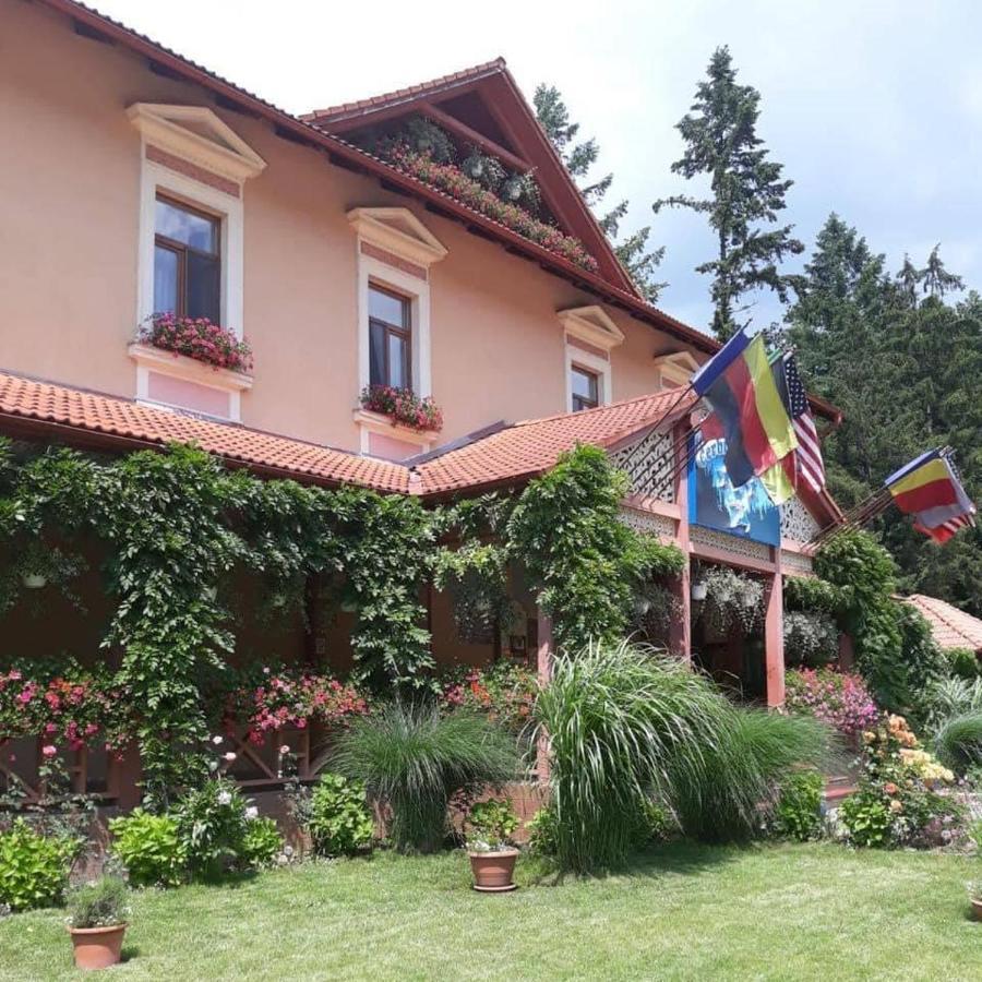 Hotel Vila Cerbul Albastru Moneasa Exterior foto