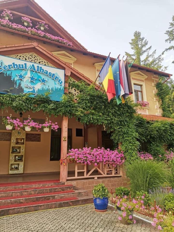 Hotel Vila Cerbul Albastru Moneasa Exterior foto